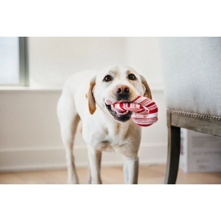 Pet Play Candy Canes kalėdiniai saldainiai žaislas šunims