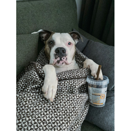 Platinum fit sticks kramtomosios lazdelės šunims su vištiena ir ėriena