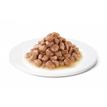 Advance Wet Kitten Turkey konservai kačiukams su kalakutiena