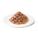 Advance Wet Kitten Turkey konservai kačiukams su kalakutiena