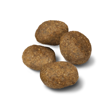 Advance Adult Sensitive maistas šunims su ėriena