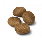 Advance Adult Sensitive maistas šunims su ėriena