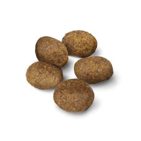 Advance Dog Mini Sensitive maistas šunims su lašiša