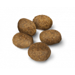 Advance Dog Mini Sensitive maistas šunims su lašiša