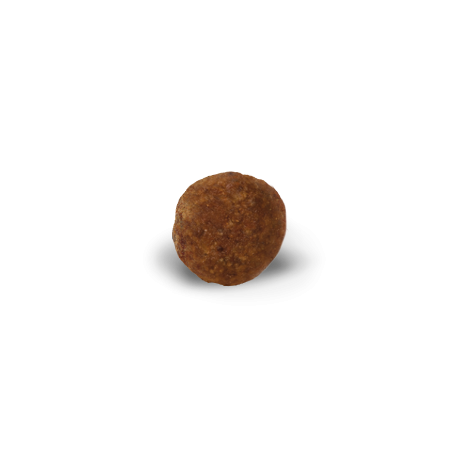 Advance Yorkshire Terrier maistas jorkšyro terjerams su vištiena