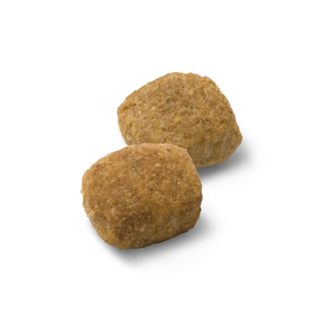 Advance Dog Medium Light Chicken & Rice maistas šunims su vištiena