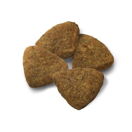 Advance Medium Adult maistas šunims su vištiena