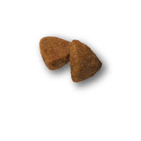 Advance Mini Adult sausas maistas šunims su vištiena ir ryžiais šunims