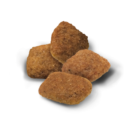 Advance Dog Senior Medium Chicken & Rice maistas šunims su vištiena