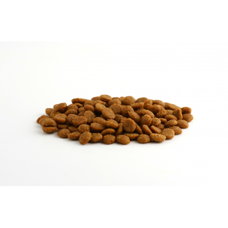 SPECIFIC FCD pašaras katėms struvitinių akmenų profilaktikai