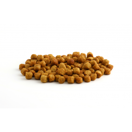 SPECIFIC FND pašaras augantiems, jauniems, sterilizuotiems kačiukams