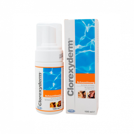 ICF Clorexyderm Schaum-Losung 0,5% Antibakterinės putos, veikia Gramteigiamas, Gramneigiamas bakterijas, patogeninius grybus