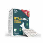 Hyaloral Giant N120