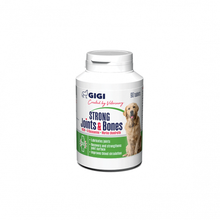 GIGI STRONG Joints & Bones papildas šunų kaulų ir sąnarių funkcijai, N90