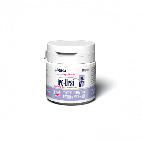 GIGI Uro-Ursi kapsulės šlapimo takams, N14