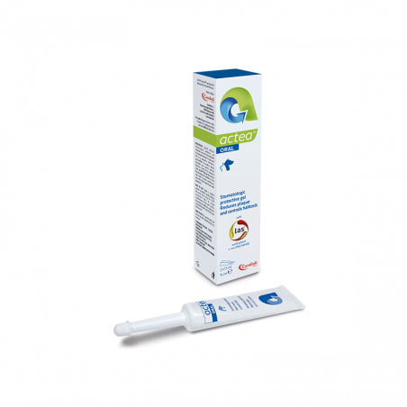 Candioli Actea Oral stomatologinis gelis šunims ir katėms, 15 ml