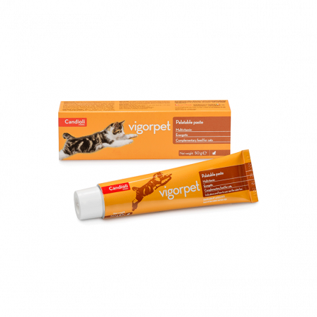 Candioli Vigorpet vitamininė-energetinė pasta katėms, 50 g