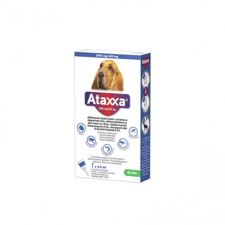 Ataxxa užlašinamas tirpalas šunims nuo erkių, blusų ir uodų, (25–40 kg), 2000 mg/400 mg