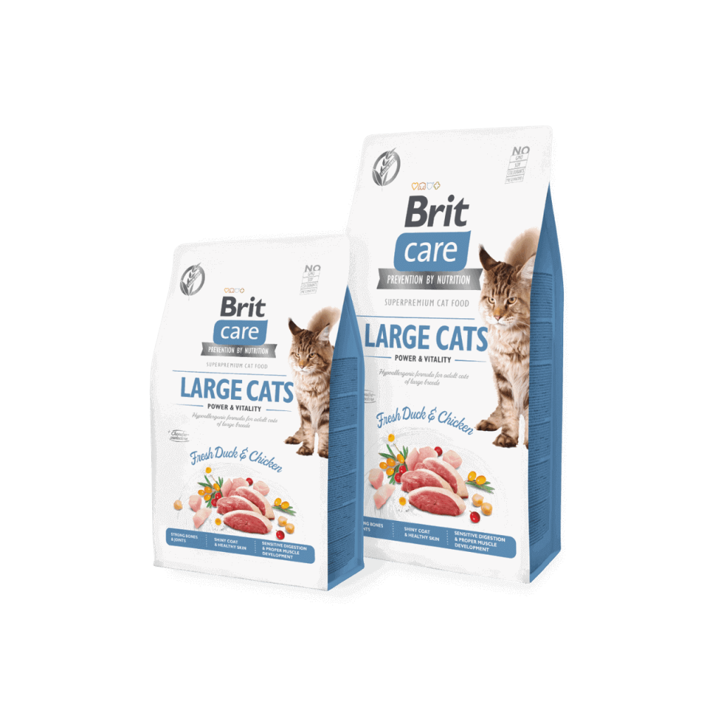 Brit Care cat power & vitality sausas maistas didelių veislių katėms
