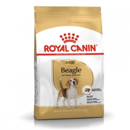 Royal canin beagle adult sausas maistas šunims