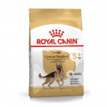 Royal canin german shepherd 5+ sausas maistas šunims