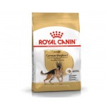 Royal canin german shepherd adult sausas maistas šunims