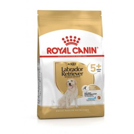 Royal canin labrador retriever adult 5+ sausas maistas šunims