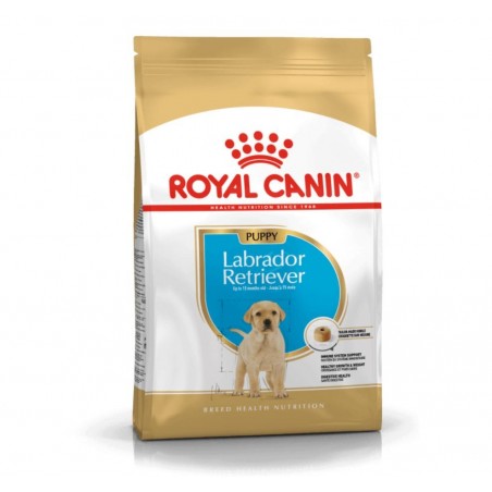 Royal canin labrador retriever puppy sausas maistas šunims