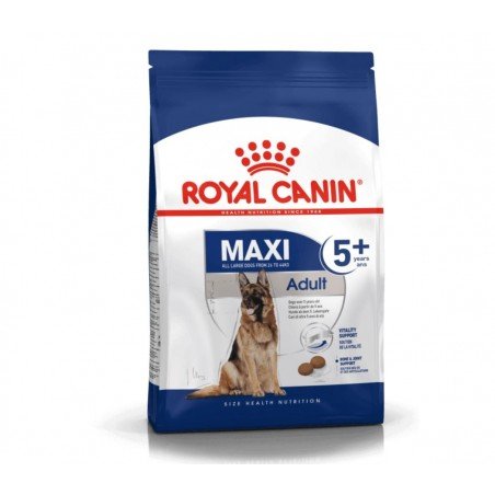 Royal canin maxi adult 5+ sausas maistas šunims