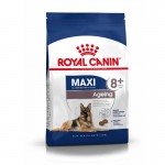 Royal canin maxi ageing 8+ sausas maistas šunims