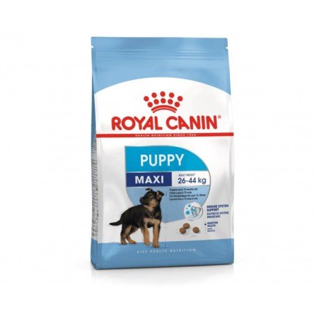 Royal canin maxi puppy sausas maistas šunims