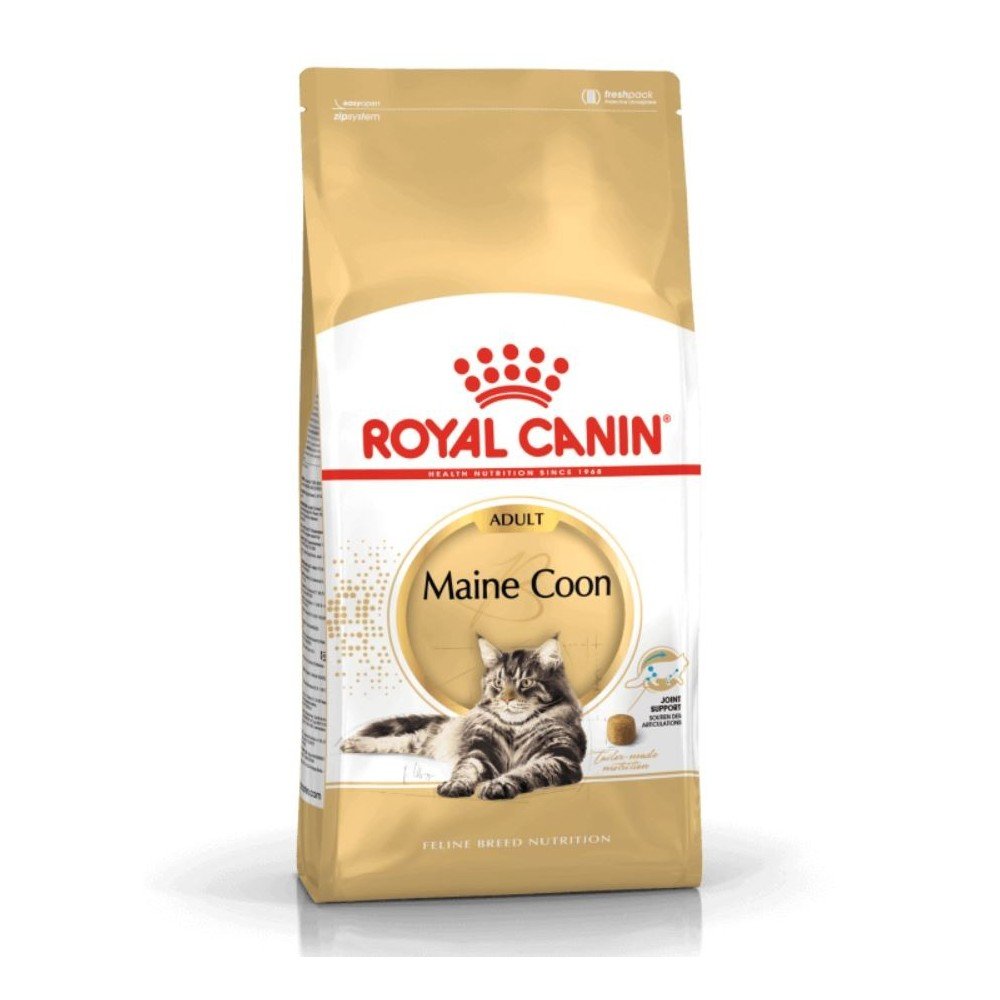 Royal canin maine coon adult sausas maistas katėms