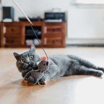 Hunter Gori žaislas katėms, rudas