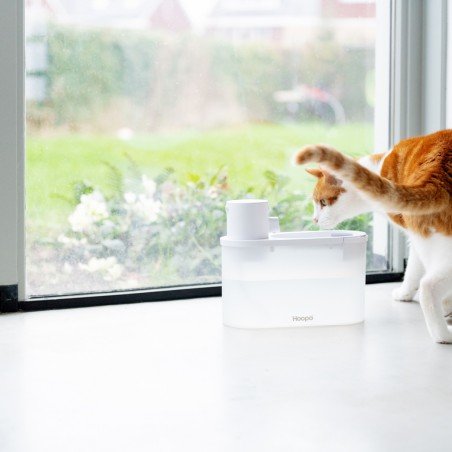 Hoopo agua smart fontanas katėms