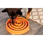 Outward Hound Fun Feeder Swirl lėto valgymo dubenėlis augintiniams oranžinis