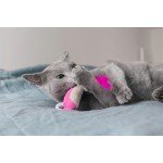 Outward Hound Dental Shrimpies žaislas katėms