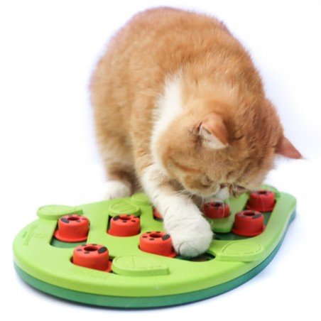 OH Nina Ottosson Cat Buggin' Out Puzzle & Play interaktyvus žaislas katėms