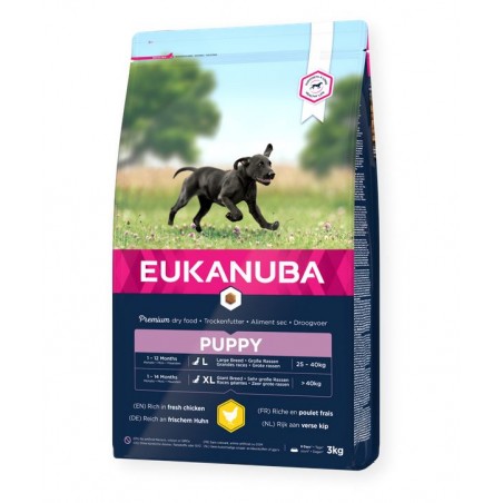 Eukanuba Puppy large Breed Fresh Chicken sausas maistas didelių veislių šuniukams su vištiena