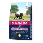 Eukanuba Puppy large Breed Fresh Chicken sausas maistas didelių veislių šuniukams su vištiena