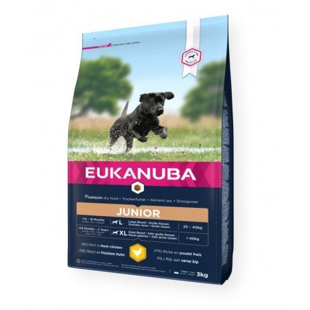 Eukanuba junior large Breed Fresh Chicken sausas maistas didelių veislių jauniems šunims su vištiena