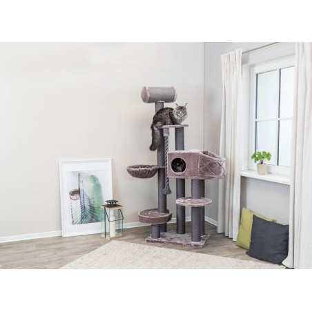 Trixie draskyklė katėms cat tree xxl andres